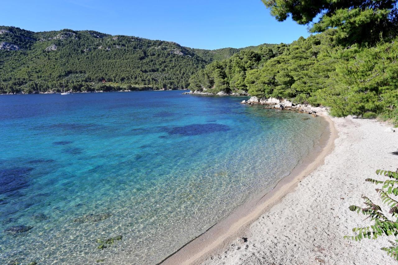 Apartments With A Parking Space Zuljana, Peljesac - 4573 Екстер'єр фото